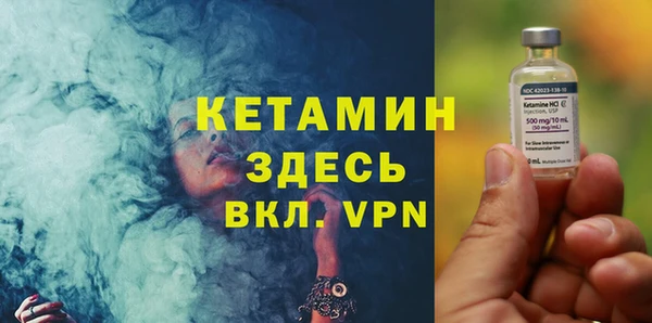 гидра Инсар