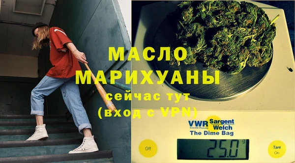 гидра Инсар