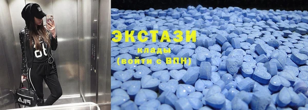 гидра Инсар